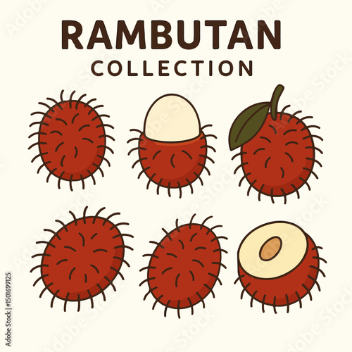 rambutan style vector cartoon illustration collection