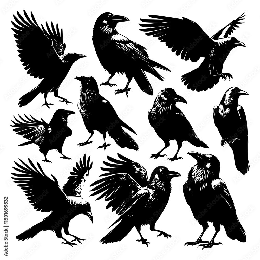 Obraz premium set of crow silhouettes with flying wings, a wildlife vector illustration of a bird symbol
