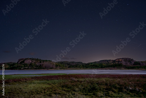 Enchanting Starlit Night over a Serene Lakeshore and Forested Mountains