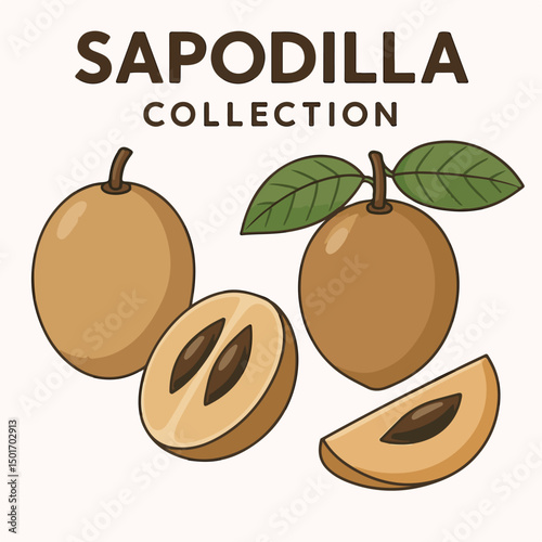 sapodilla style vector cartoon illustration collection