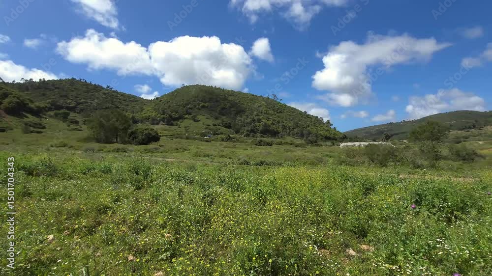 Unsurpassed natural beauty of a Mount Shokef in Mount Carmel National Park near Haifa in the northern Israel Unsurpassed natural beauty of a Mount Shokef in Mount Carmel National Park near Haifa in the northern Israel