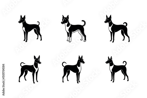 Portuguese Podengo Pequeno Vector