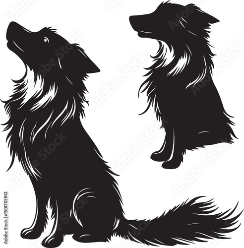 Black Silhouette of Border Collie Dogs: Sitting, Howling, and Profile View - Vector Illustration for Pet Lovers and Graphic Design