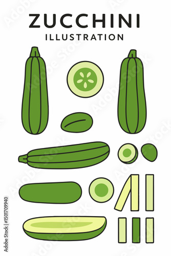 collection of vector illustrations of zucchini