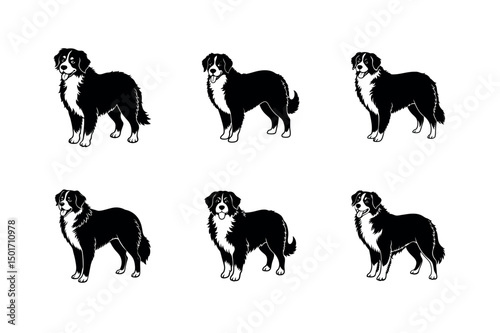 Bernese Mountain Dog Vector Design