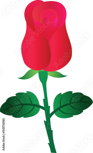 Red Rose Flower Vector Illustration with Green Leaves