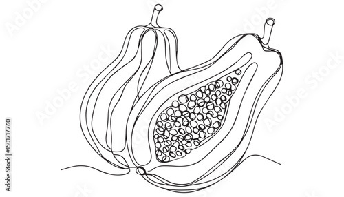 Continuous one single minimal line drawing papaya 