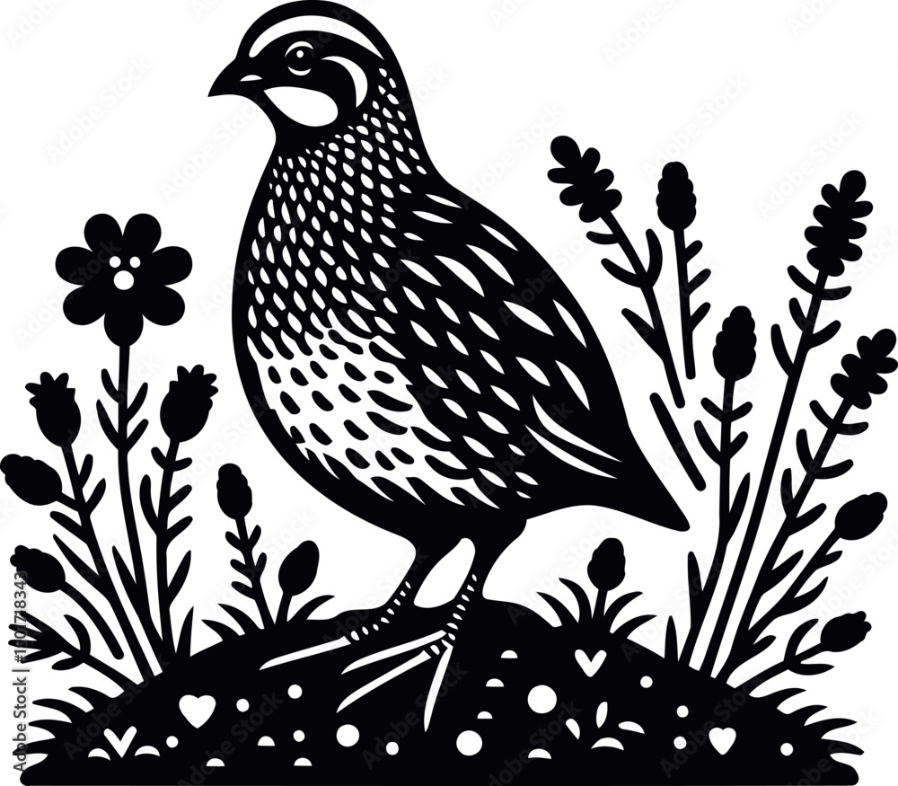 Fototapeta premium Quail in a field of grass and flowers Black and white illustration