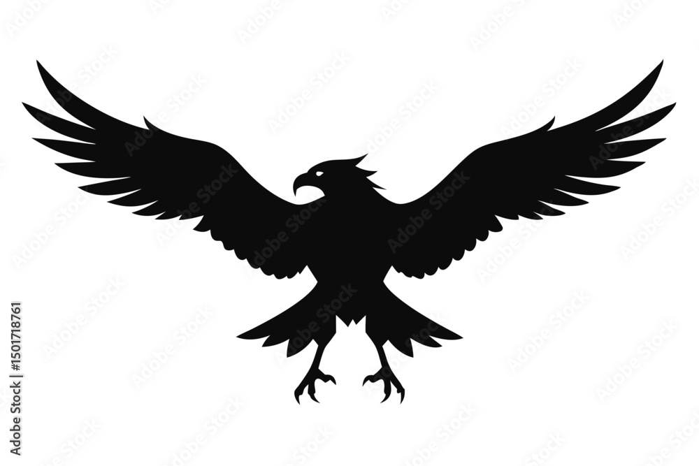 Obraz premium eagle with wings