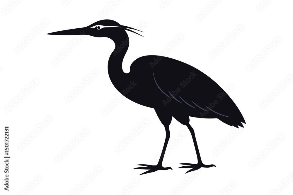 Obraz premium black crowned night heron