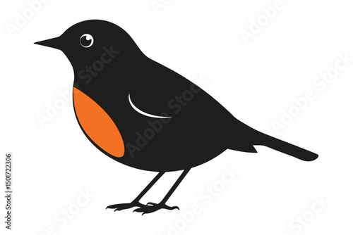 robin on a branch