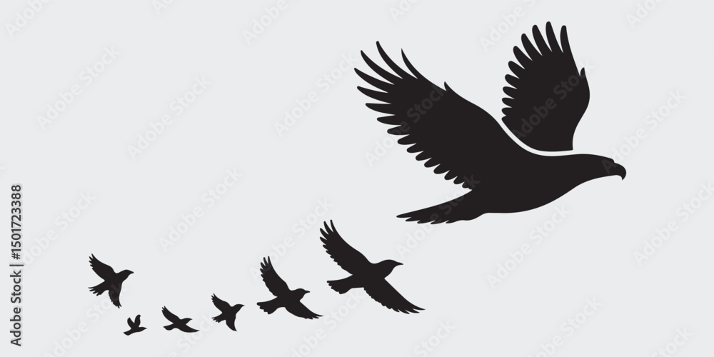 Fototapeta premium Black Bird Vector Silhouette Set in White Background