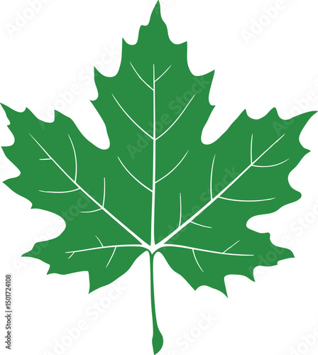 Single Maple Leaf Autumn Symbol