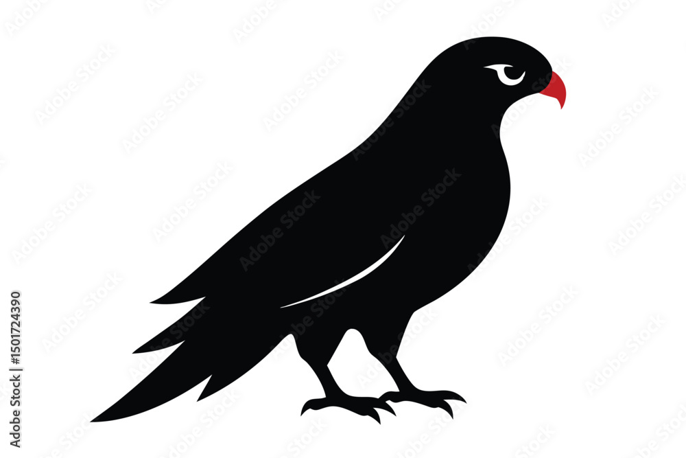 Fototapeta premium silhouette of a pigeon