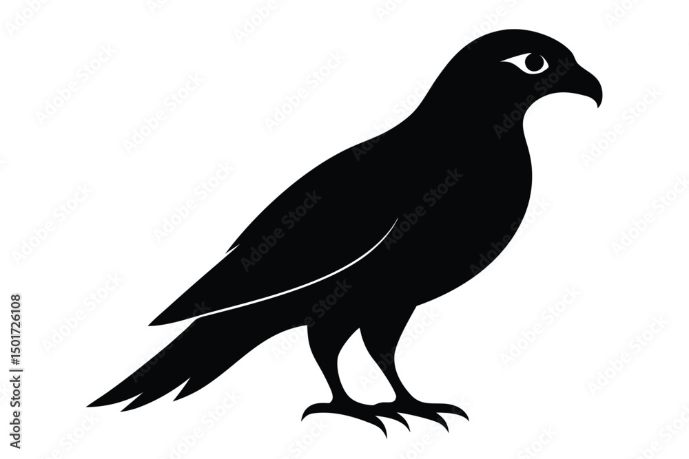Fototapeta premium eagle vector illustration