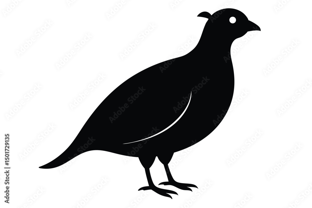 Fototapeta premium black silhouette of a bird