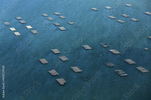 Aerial view of tranquil oyster farms on the serene Leucate Pond with calm waters reflecting the blue sky, Aude, France. photo