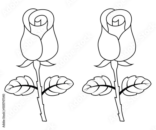Elegant Black Vector Art for Floral and Nature Themes