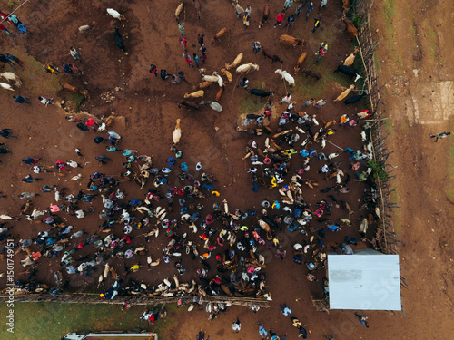 Kako, Ethiopia - 17 March 2025: Aerial view of bustling tribal animal market with vibrant crowd and livestock, Kako, Southern Nations Nationalities and Peoples' Region, Ethiopia. photo