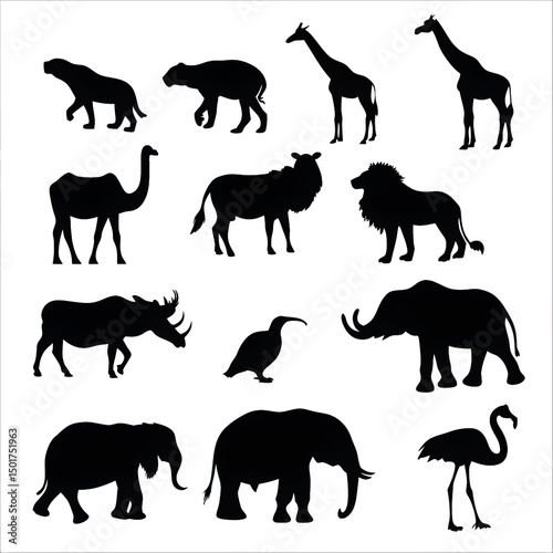 collection of animals silhouettes