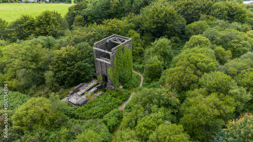 Aerial view of beautiful overgrown ruins surrounded by lush forest and trees, St Ann's Chapel, Gunnislake, England.