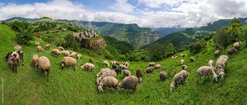 Aerial view of sheeps grazing near the Tatev Monastery on the rocks, a monastery complex with view over the valley and mountains, Tatev, Syunik Province, Armenia. Aerial view of sheeps grazing near the Tatev Monastery on the rocks, a monastery complex with view over the valley and mountains, Tatev, Syunik Province, Armenia.