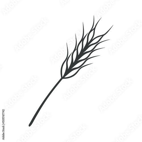 Vector art of Wheat grain ear isolated on white background, a cereal plant harvest