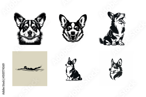 Collection of black and white cardigan welsh corgi illustrations