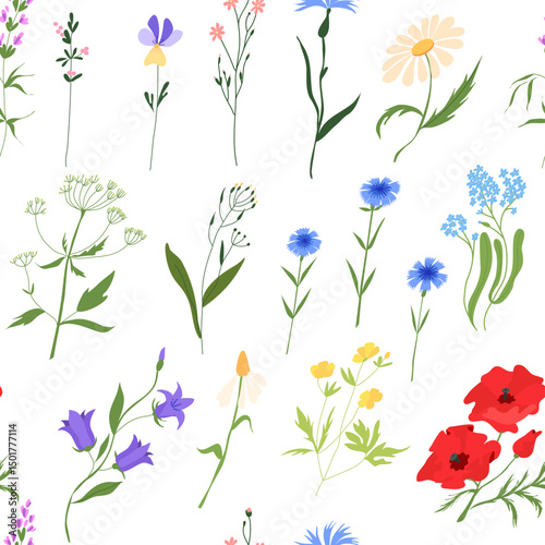 Seamless pattern of wild flowers. Floral elegant and delicate flowers.