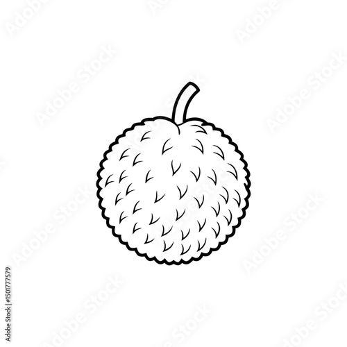 Vector art of Lychee fruit isolated on white background, a tropical and exotic fruit