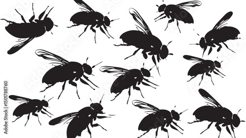 Free Fly Silhouette Vector , black silhouettes isolated on white background
