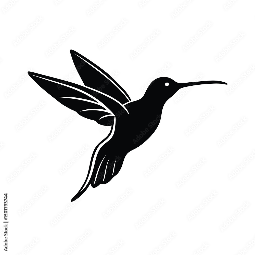 Fototapeta premium hummingbird on white background