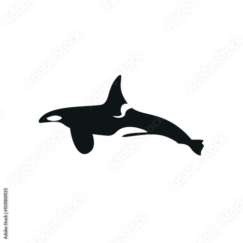 Killer Whale