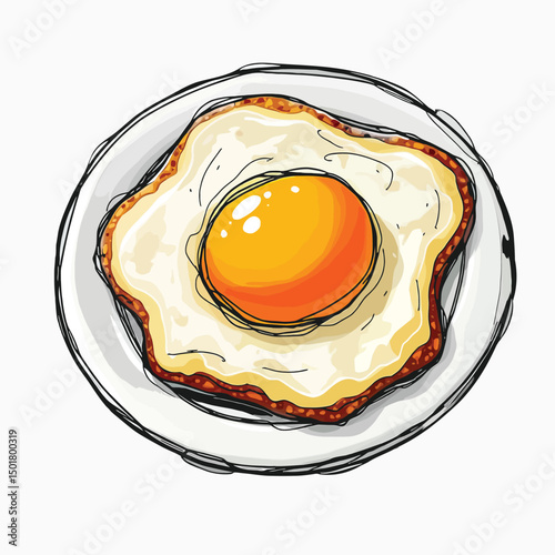 fried egg on a white plate
