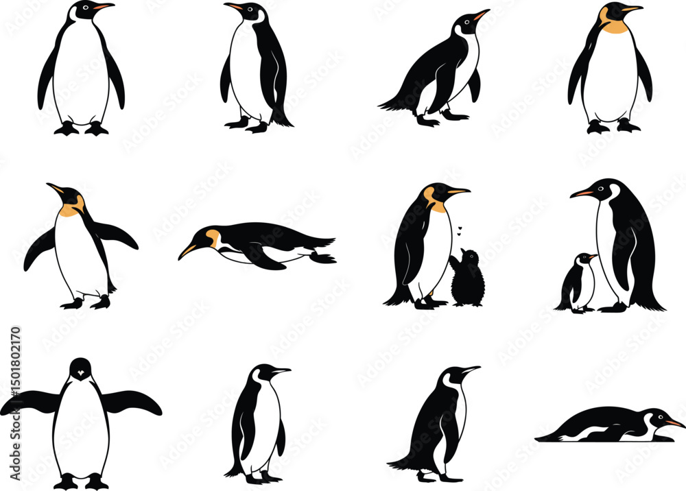 Fototapeta premium Penguin, Bird, Arctic, Antarctic, Wildlife - Cold Climate Icons