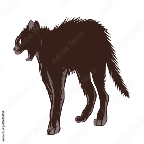 Black cat scared