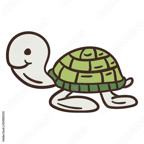 Cute turtle animal