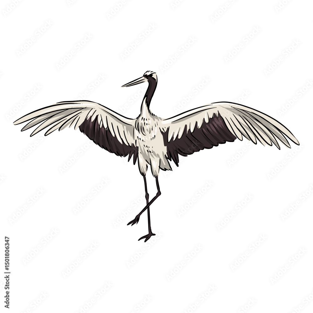 Obraz premium White crane bird