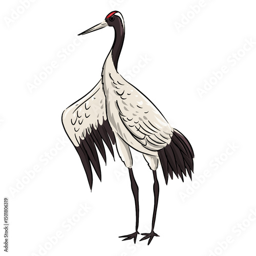 Majestic crane bird