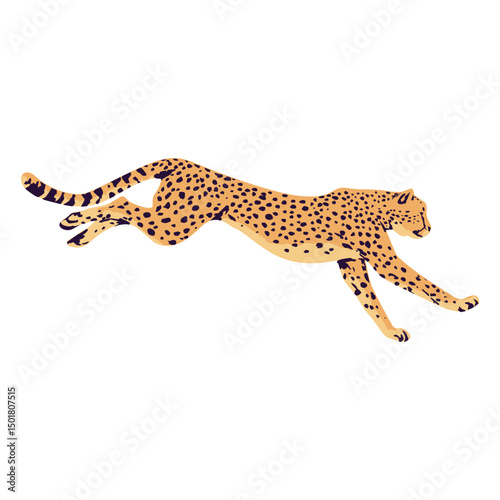 Cheetah animal sprinting semi flat