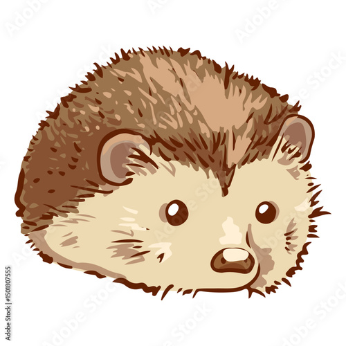 Cute Hedgehog pet animal