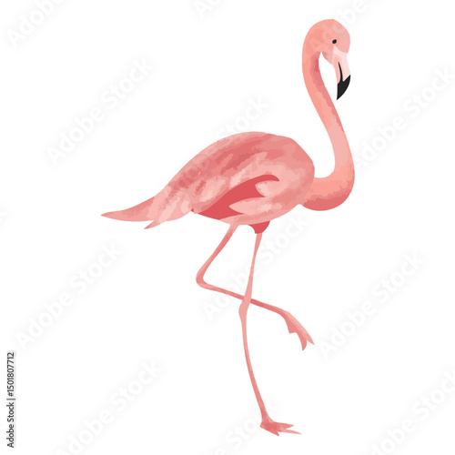 Flamingo tropical bird icon