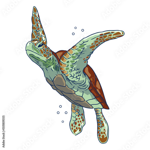 Sea turtle in water illustration