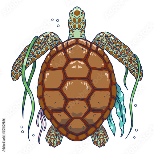 Sea turtle with algae from top illustration