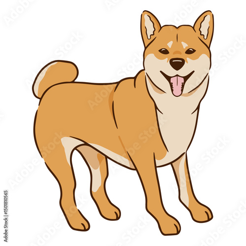 Shiba Inu dog smile