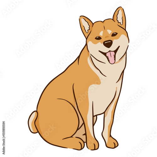 Cute Shiba Inu dog