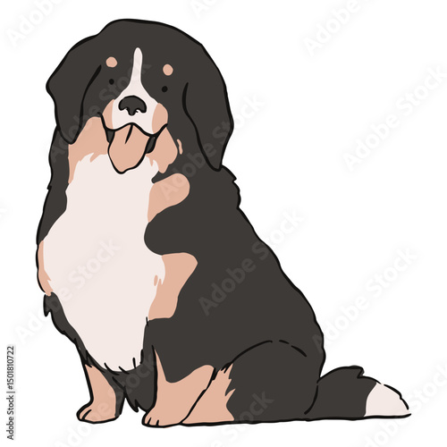 Cute bernese dog