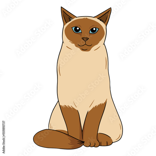 A cute siamese cat