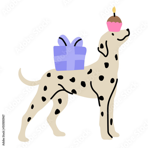 Cute dog enjoying its birthday