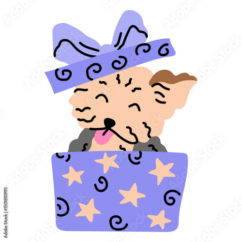 Adorable dog in a birthday gift box